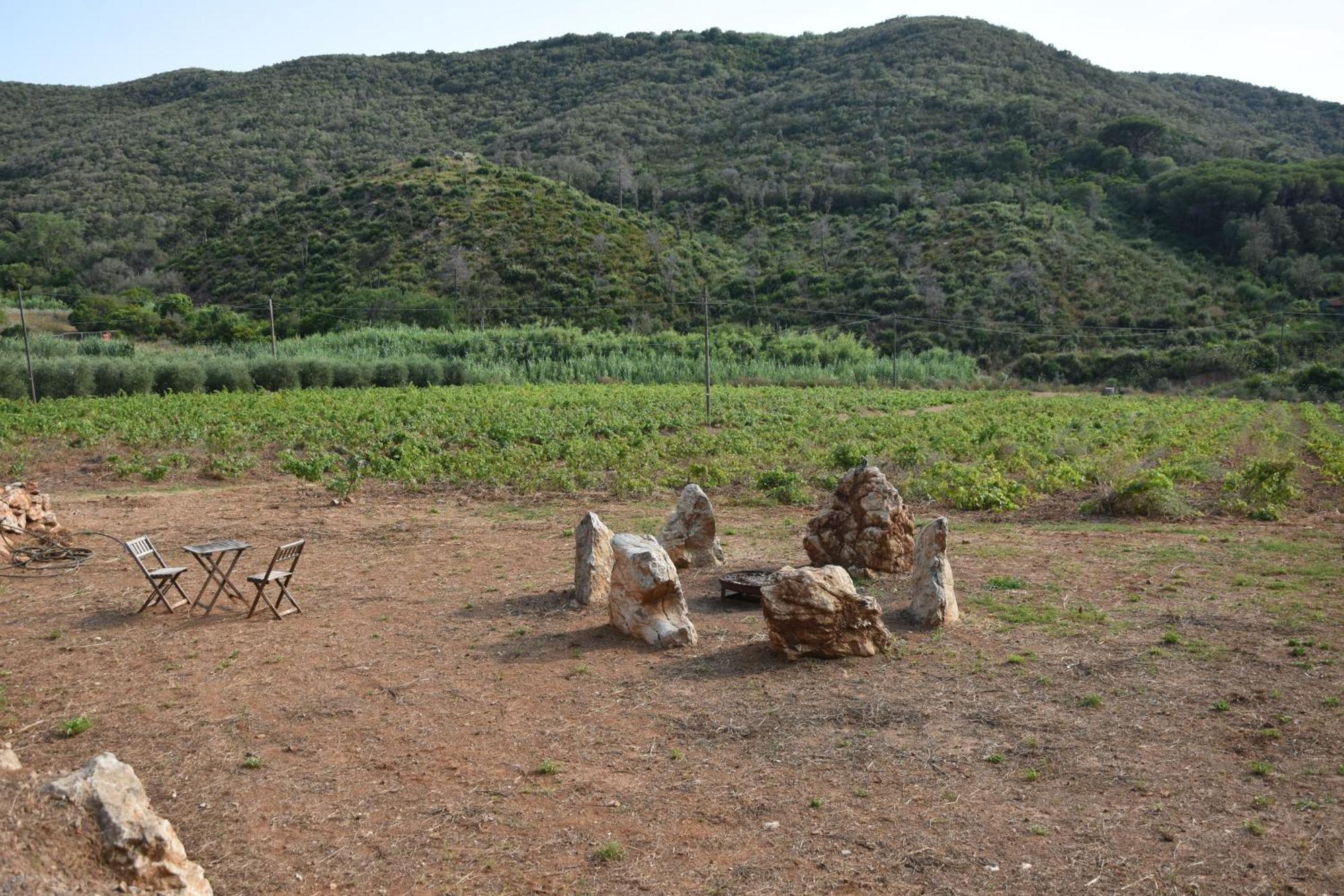 Elba Borgo Di Latrano Daire Magazzini  Dış mekan fotoğraf