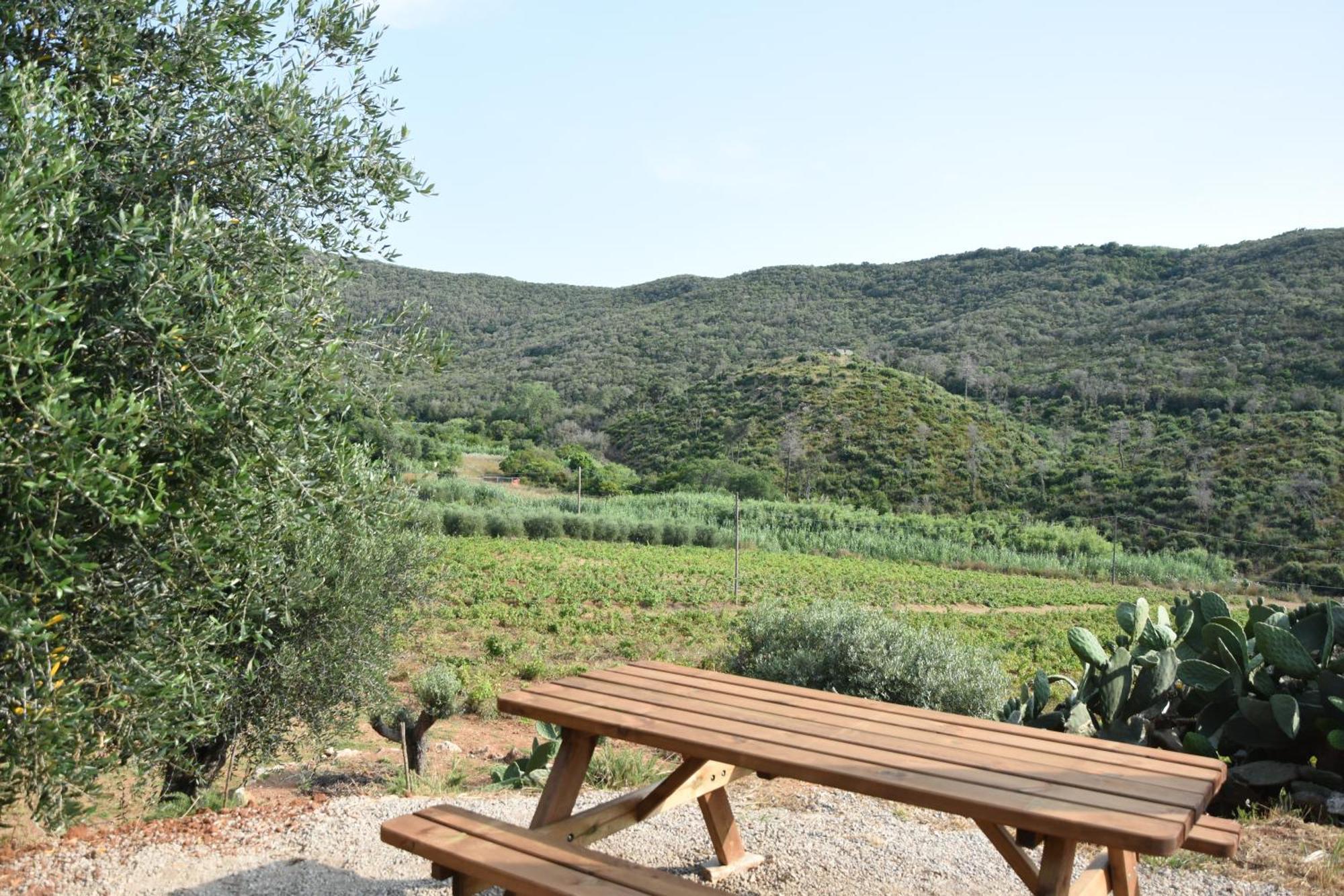 Elba Borgo Di Latrano Daire Magazzini  Dış mekan fotoğraf